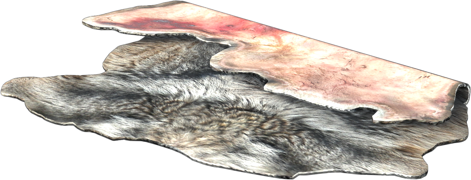 Wolf Pelt.png